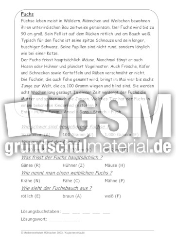 Fuchs.pdf
